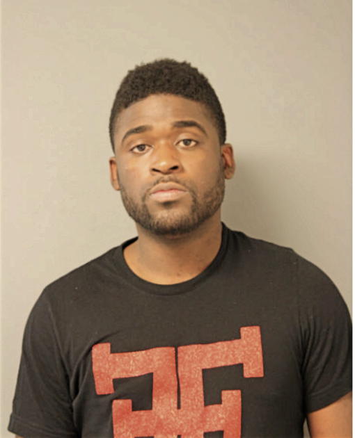 BRANDON D ELLIS, Cook County, Illinois