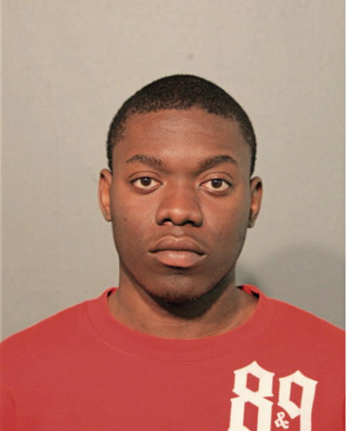 TERRANCE T FREEMAN, Cook County, Illinois