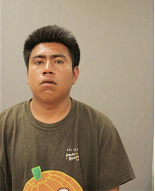 ADRIAN GALEANA, Cook County, Illinois