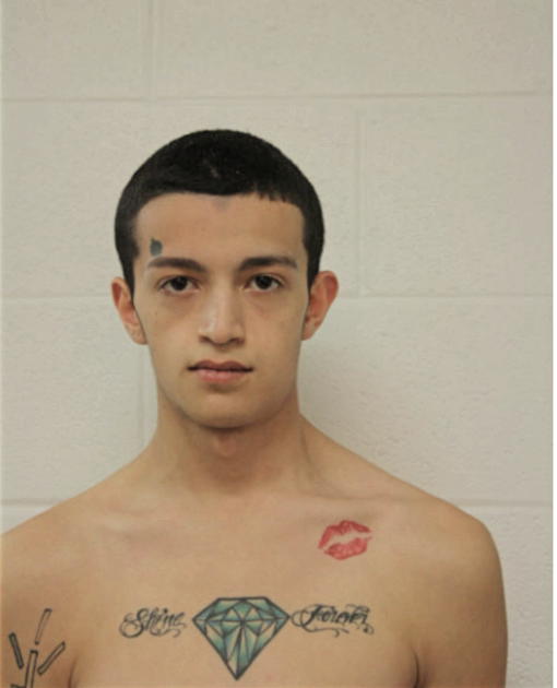 MANUEL GONZALEZ, Cook County, Illinois