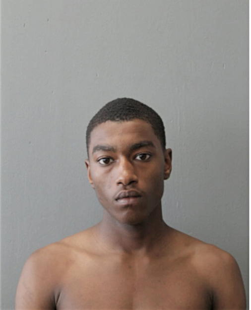 MIKHAIL A HORTON, Cook County, Illinois