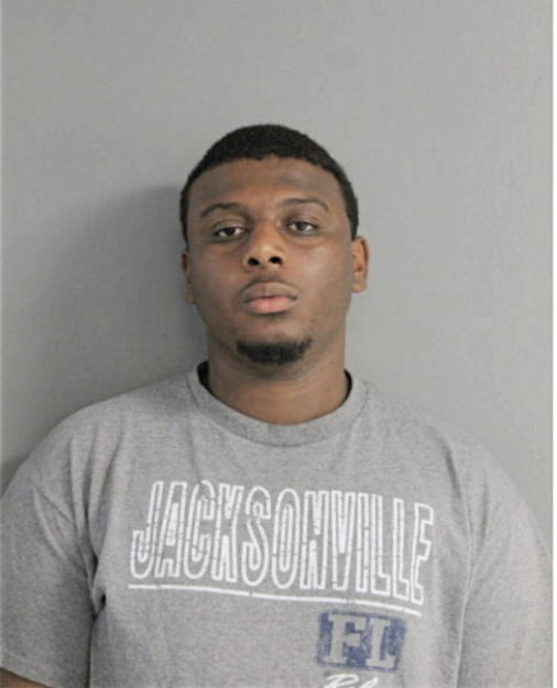 JOHNNIE L JOHNSON, Cook County, Illinois