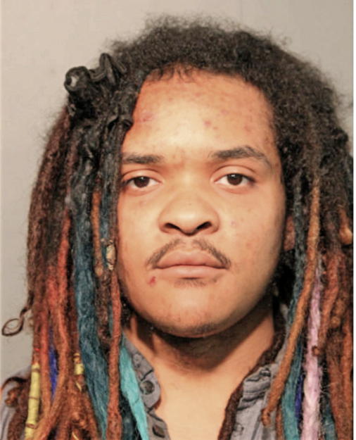 CHRISTOPHER L SKAGGS, Cook County, Illinois