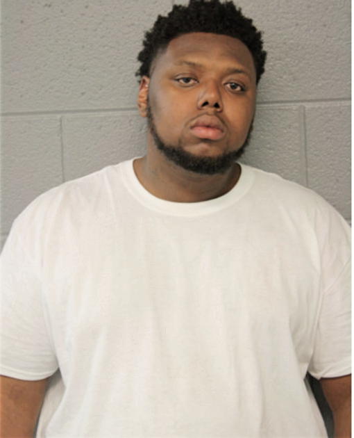 DAVID T LEWIS, Cook County, Illinois
