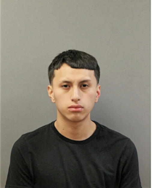 DIEGO F NACIMBA, Cook County, Illinois