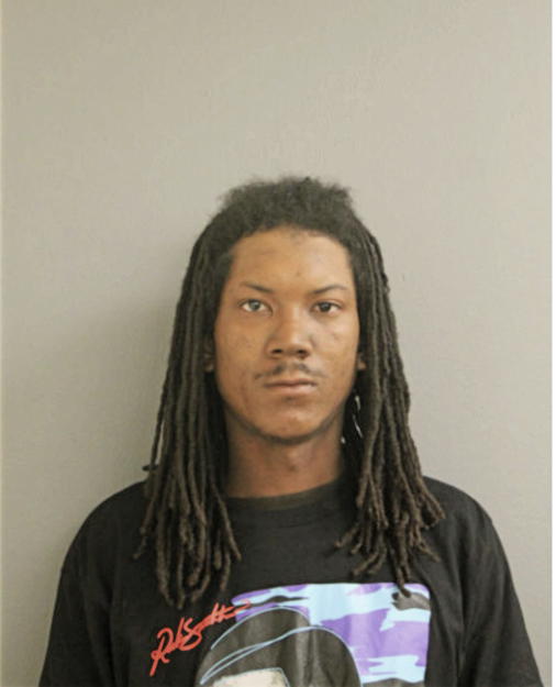 MICHAEL P MEANS, Cook County, Illinois
