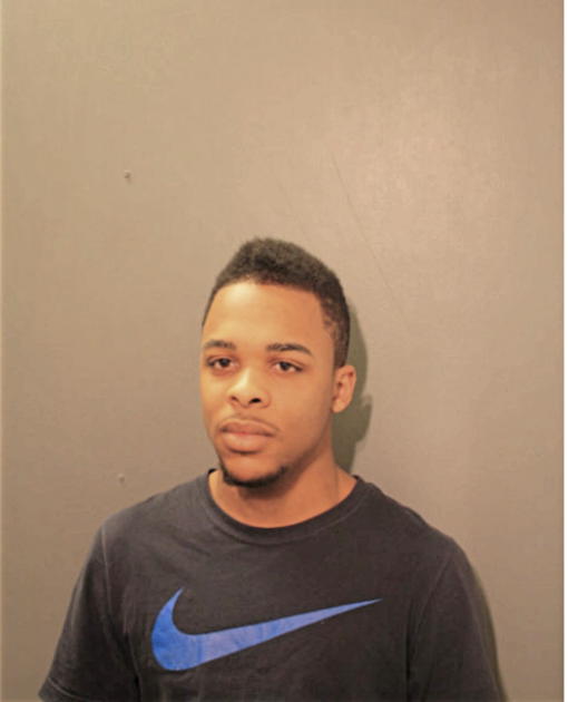 BRANDON D PITTS, Cook County, Illinois