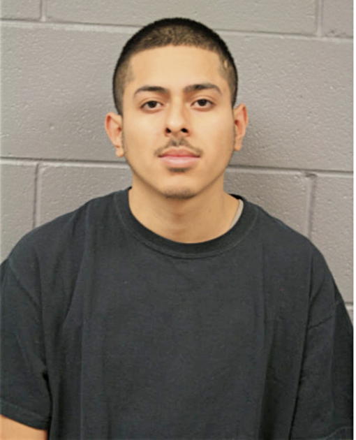FELIPE SALGADO, Cook County, Illinois
