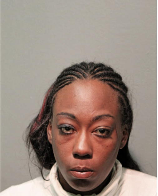 KAMISHA L TERRY, Cook County, Illinois