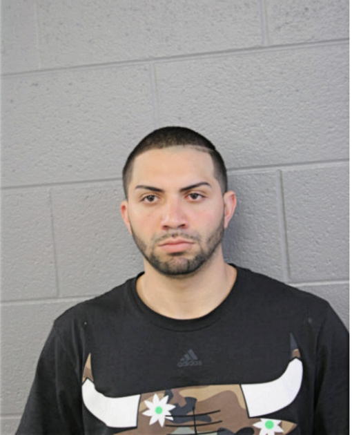 JOSE G TOLEDO-QUILES, Cook County, Illinois