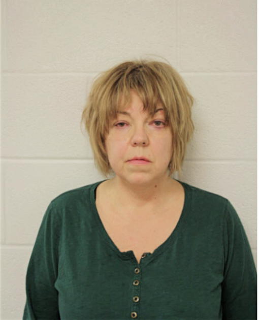 DIANE T ZITO, Cook County, Illinois