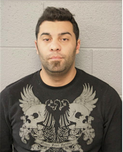 HAMZA ABDELHAMID, Cook County, Illinois