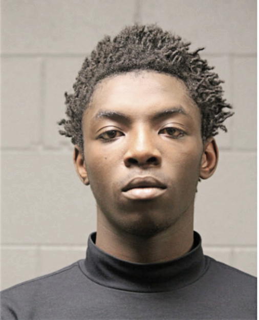 KELVIN B AGYAPONG, Cook County, Illinois
