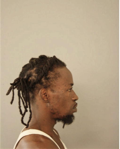 DION D ANDERSON, Cook County, Illinois