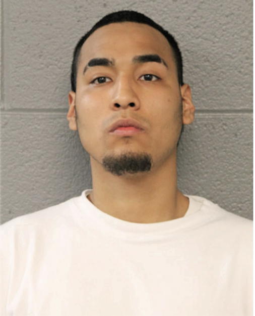IRLAN ANDRADE, Cook County, Illinois