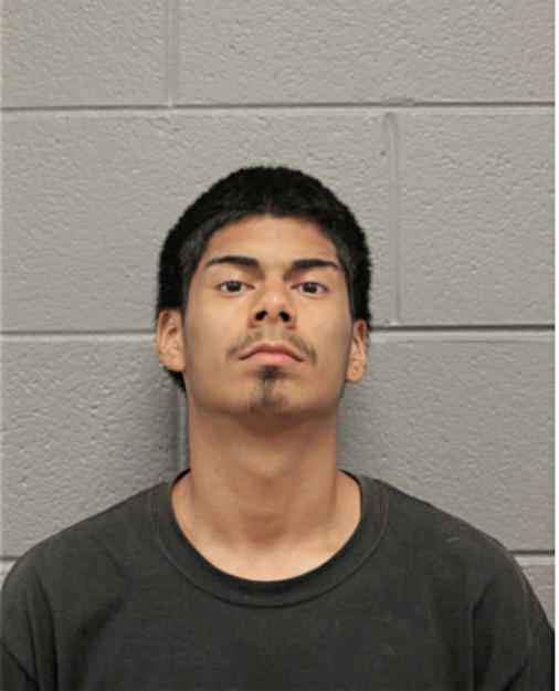 JAVIER AVINA, Cook County, Illinois