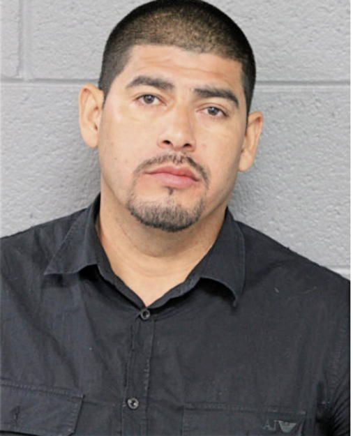 MIGUEL BAHENA, Cook County, Illinois