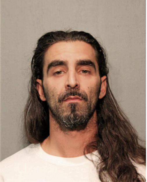 DINO BAJRAMORIC, Cook County, Illinois