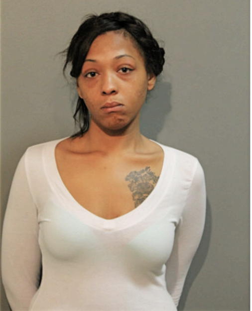 ALLISON S CANNON, Cook County, Illinois