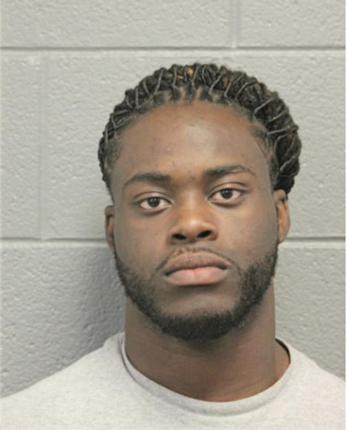 DIAMOND J CHEW, Cook County, Illinois