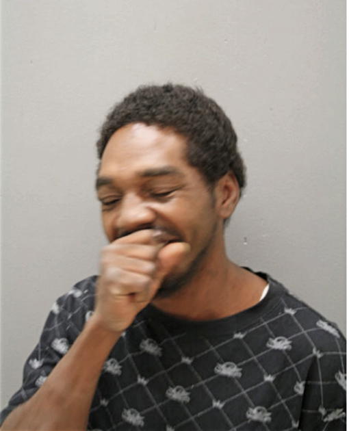 MICHAEL L COBBS, Cook County, Illinois