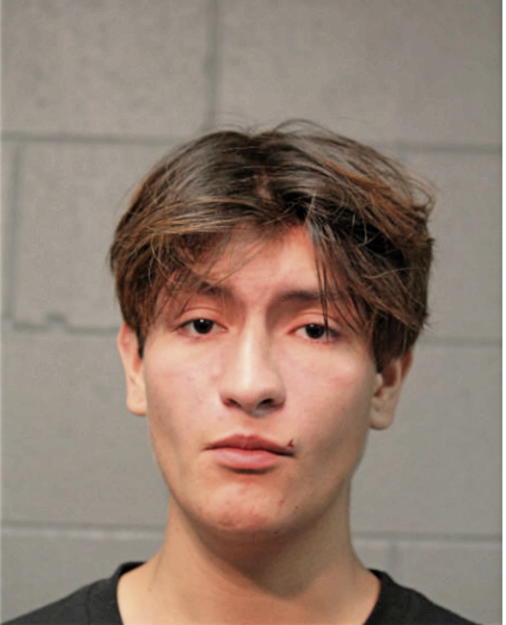 MIGUEL JR ESTRADA, Cook County, Illinois