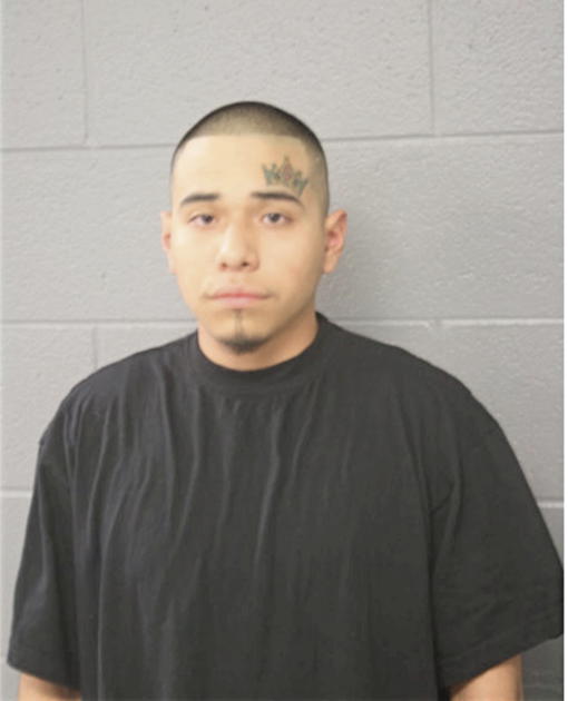 CHRISTIAN R FERREIRA, Cook County, Illinois