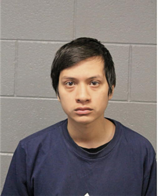 ERIK T FLORES, Cook County, Illinois
