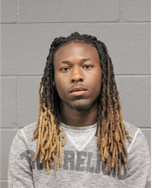 TERRANCE A GRIGGS, Cook County, Illinois