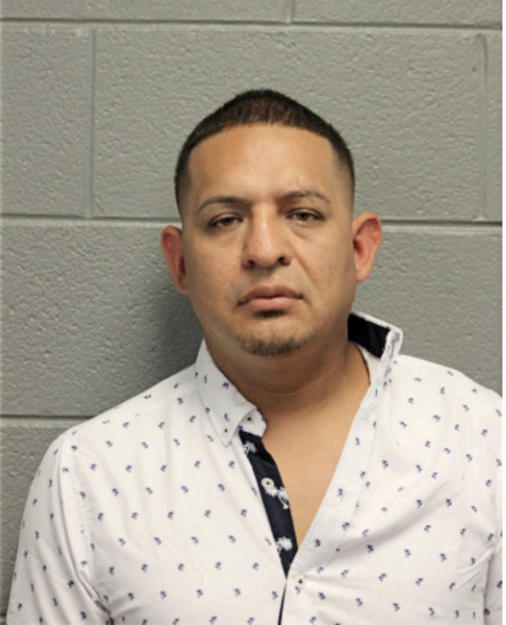 ANGEL JOEL MANSILLA GUTIERREZ, Cook County, Illinois