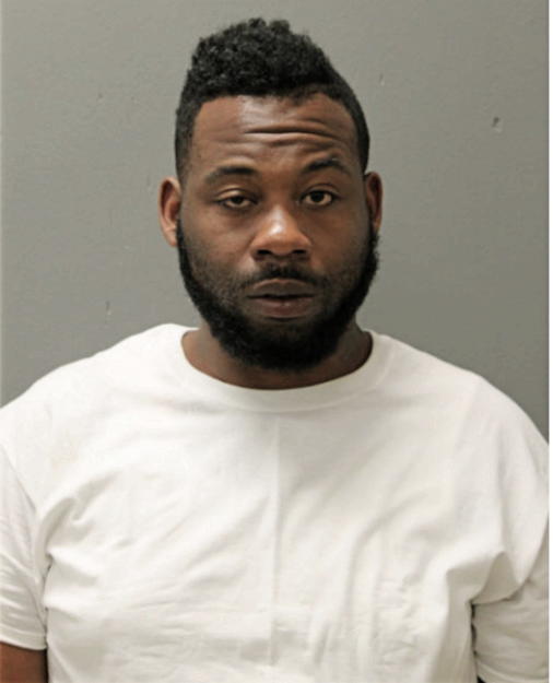 SYLVESTER P JOHNSON, Cook County, Illinois
