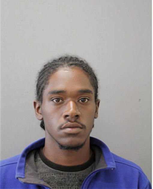 WAYLAND C JOHNSON, Cook County, Illinois
