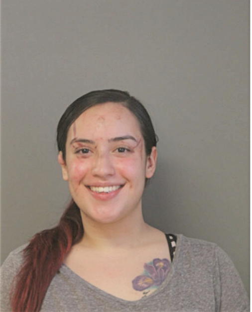 JAYLENE L MARTINEZ, Cook County, Illinois