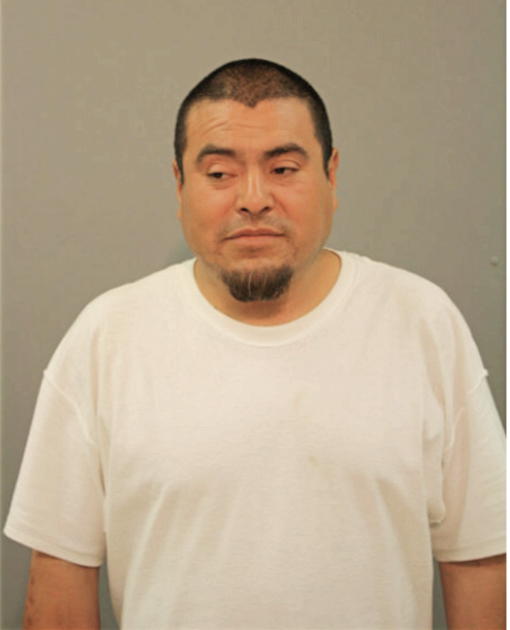 ROBERTO MEJIA, Cook County, Illinois