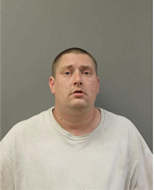 DANIEL A MESKAUSKAS, Cook County, Illinois