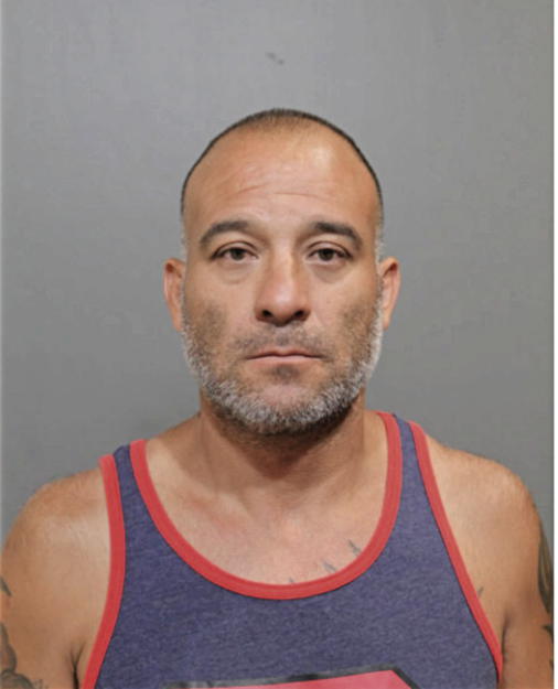 LUIS M MESTA-RIVERA, Cook County, Illinois