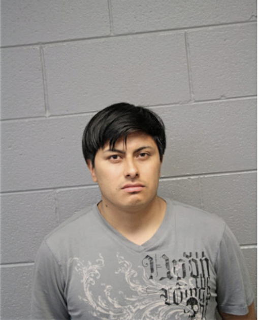 EDWIN P ORTEGA, Cook County, Illinois
