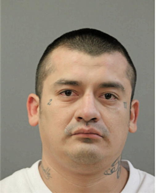 EMMANUEL RAYA, Cook County, Illinois
