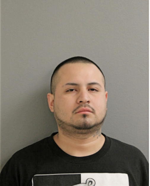 ERIC ROA, Cook County, Illinois
