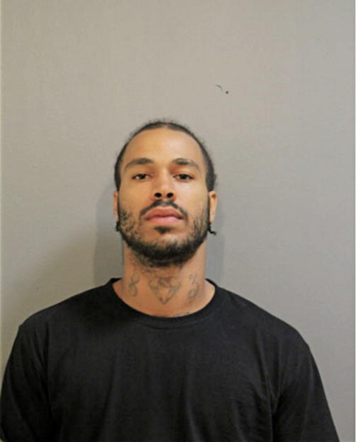 TAYLOR J SPINOSA, Cook County, Illinois