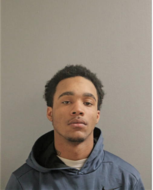 LOUIS D VALE, Cook County, Illinois
