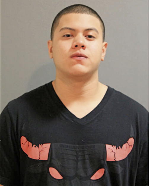 ERIK A VASQUEZ, Cook County, Illinois