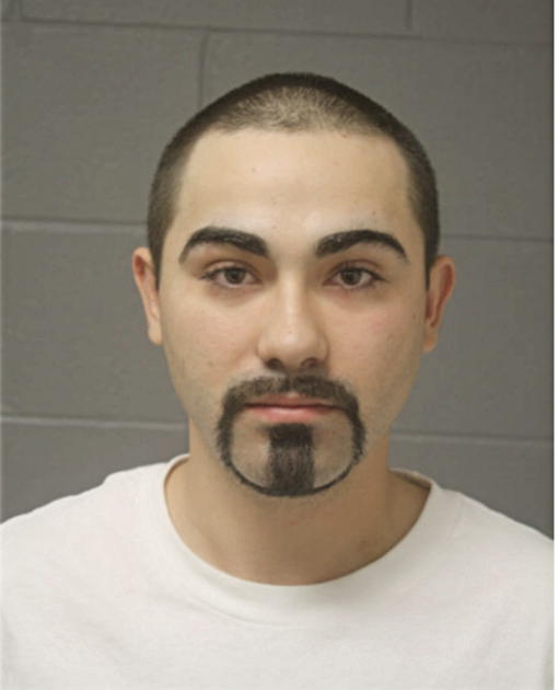 PETER J WASSO, Cook County, Illinois