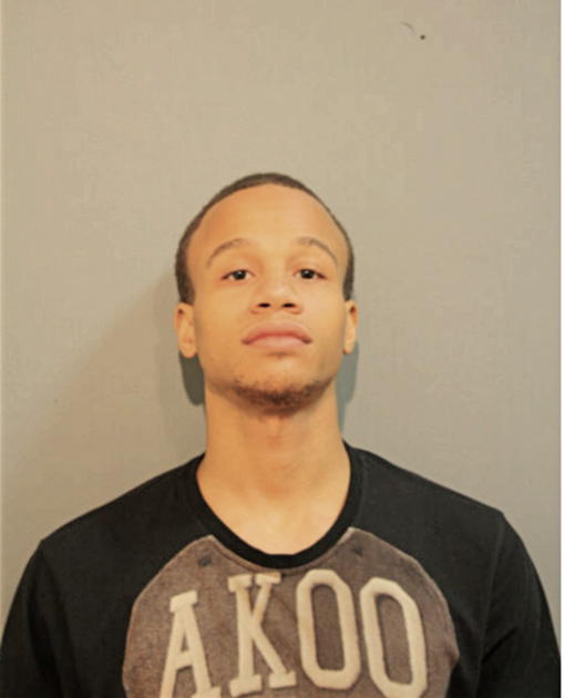BRANDON R BRICE, Cook County, Illinois