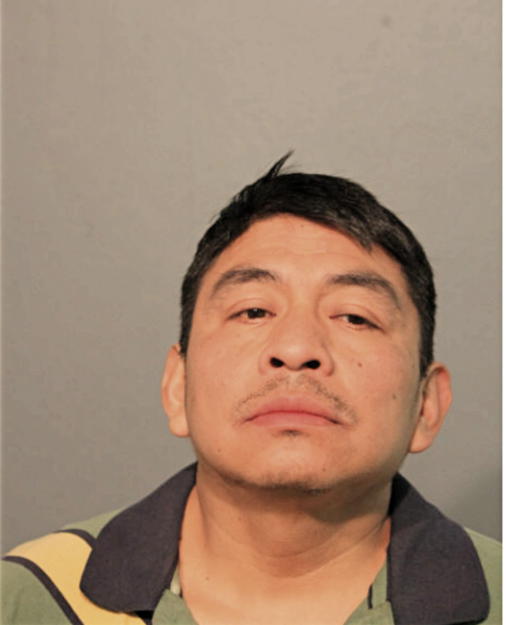 IRINEO CRUZ, Cook County, Illinois