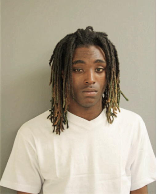 NATHAN EMERSON, Cook County, Illinois