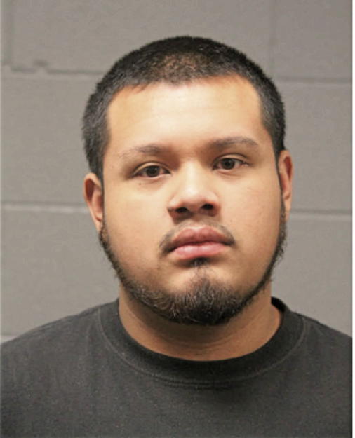 RICARDO FLORES, Cook County, Illinois