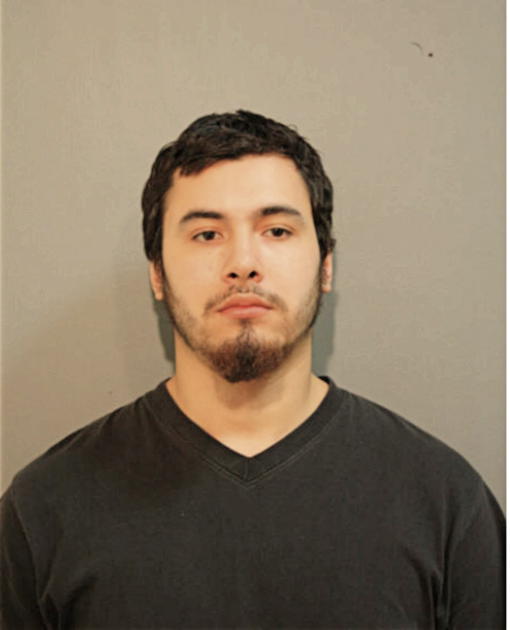 ALEJANDRO GARCIA, Cook County, Illinois