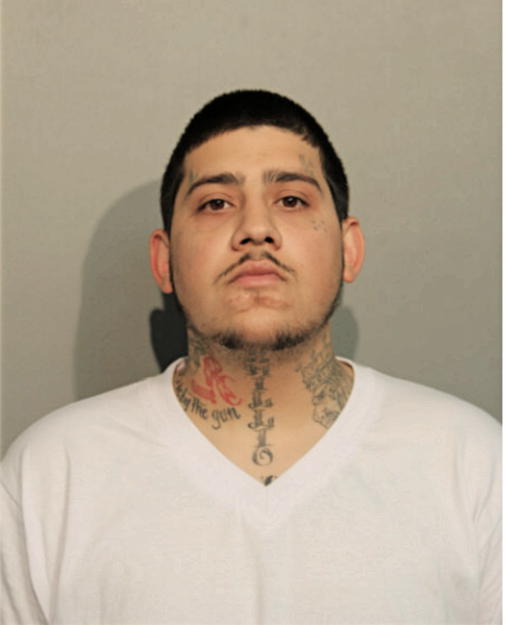 SHAWN A GHAZIANI, Cook County, Illinois
