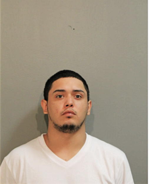 JOSHUA D GUAJARDO, Cook County, Illinois